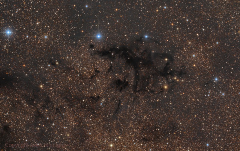 Dark Nebula LDN 673 in a sea of golden stars