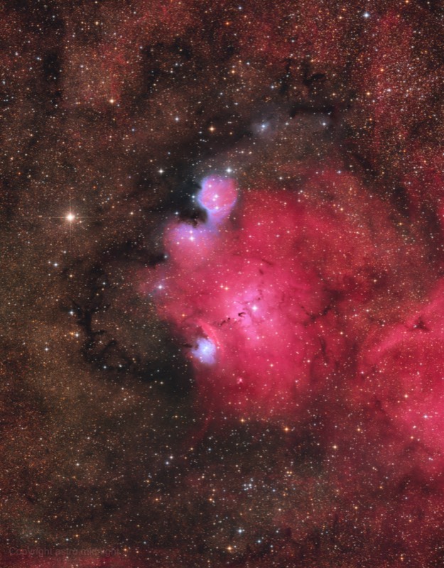 The Chinese Dragon NGC 6559