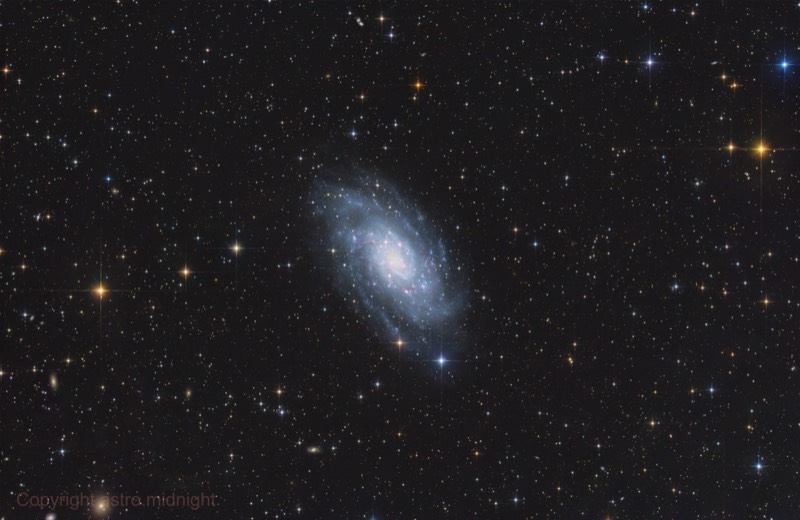 NGC 2403