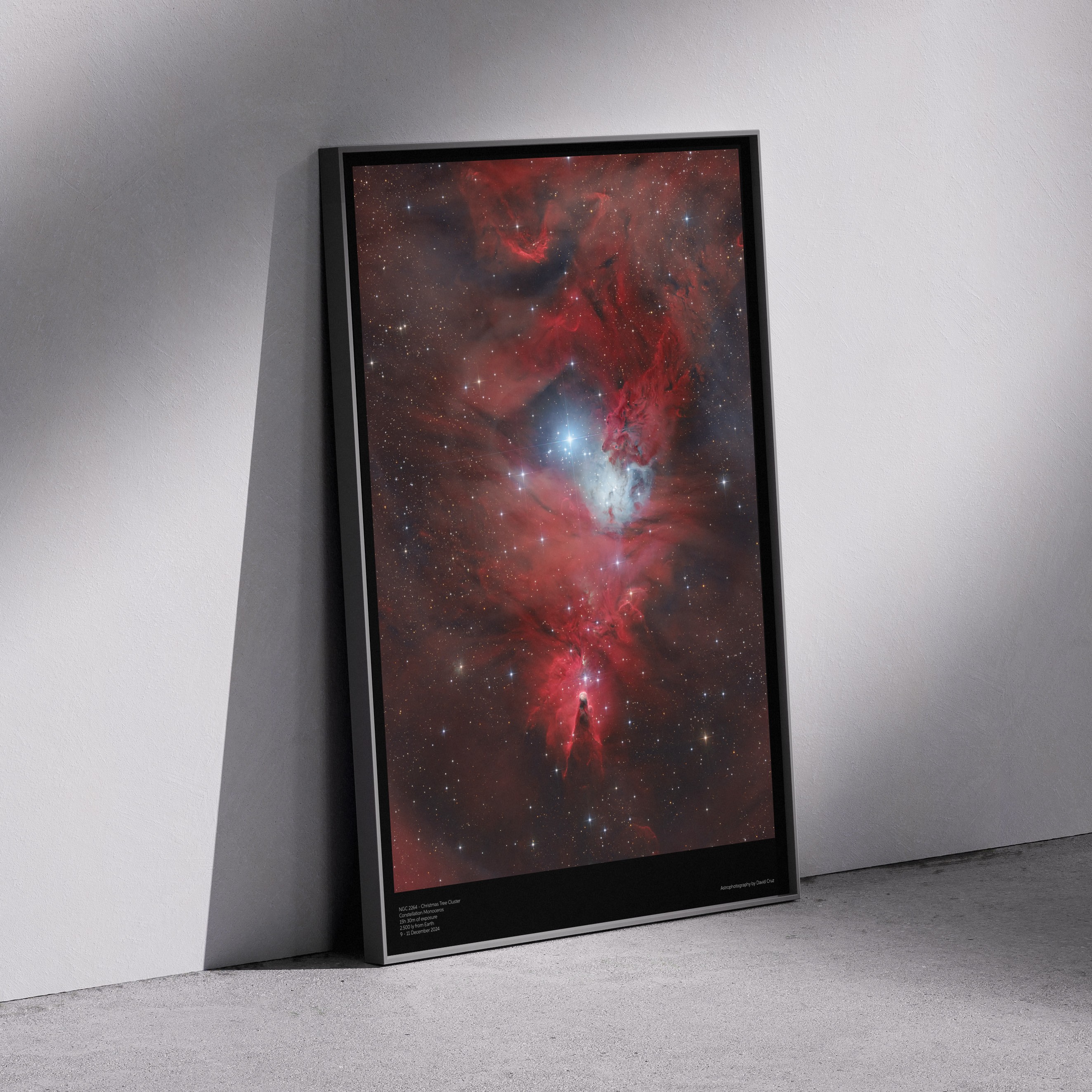 Print «NGC 2264 - Christmas Tree Cluster» — detalhe